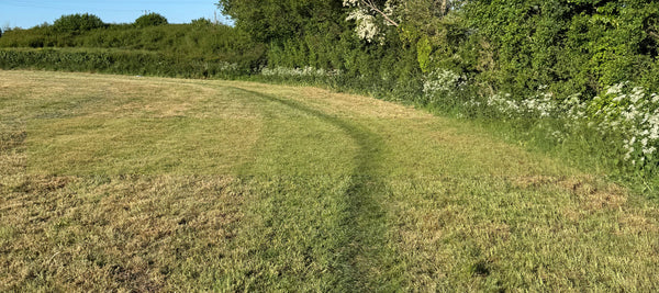 Desire Paths